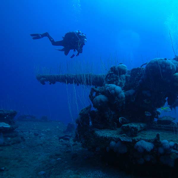 SDI Deep Diver