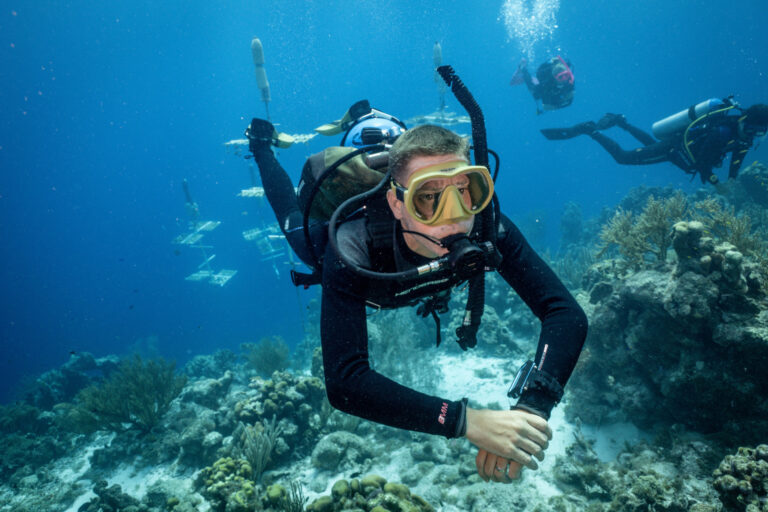 SDI Open Water Scuba Diver