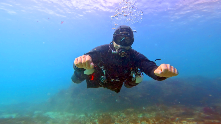 SDI Sidemount